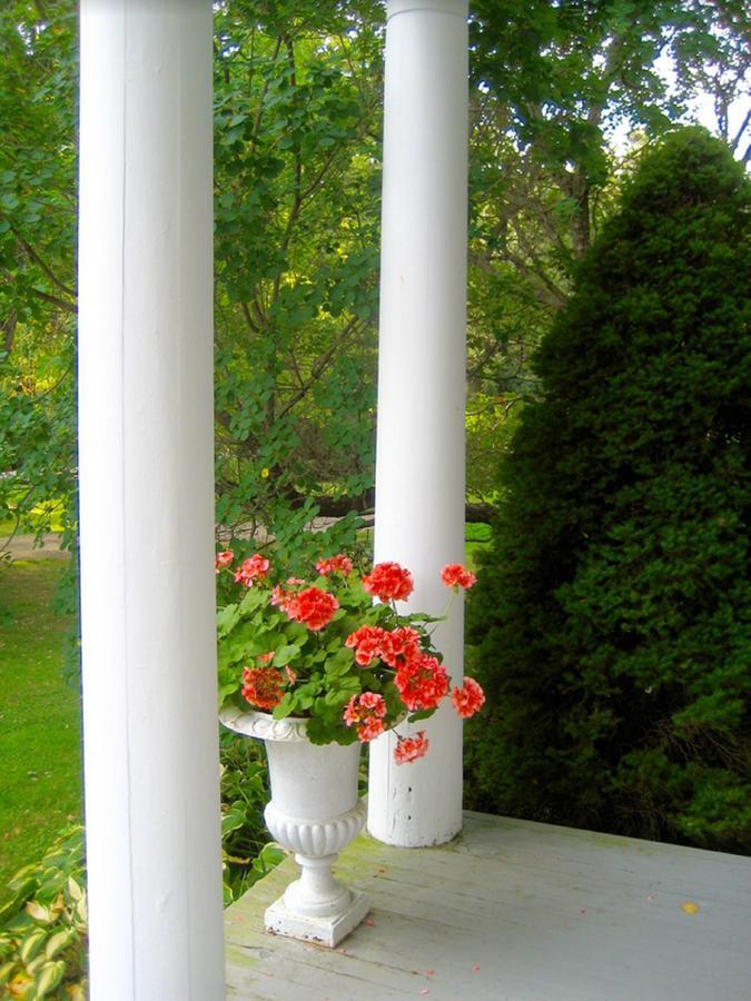 Millbrook Country House Εξωτερικό φωτογραφία